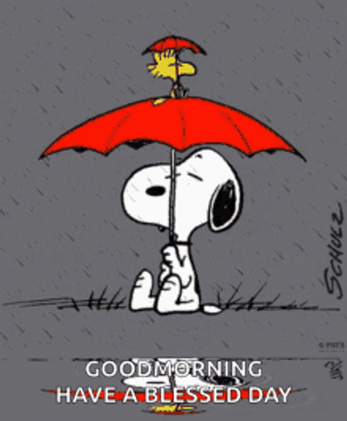 Snoopy Peanuts Umbrella Raining Good Morning Blessed Day GIF