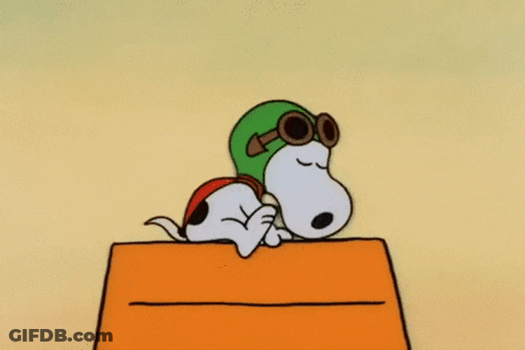 Snoopy Pilot Costume GIF
