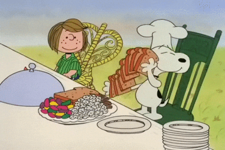 Snoopy Preparing Dinner Thanksgiving Meme GIF
