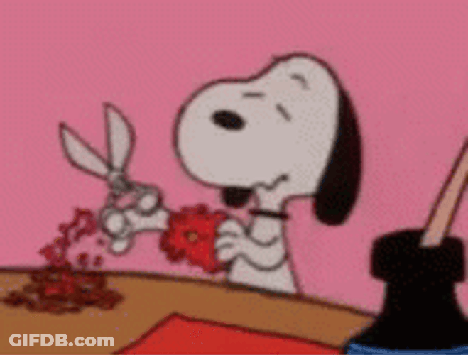 Snoopy Proudly Show Valentines Gift To Sally Brown GIF