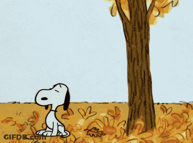 Snoopy Saturday Blowing Leaf GIF
