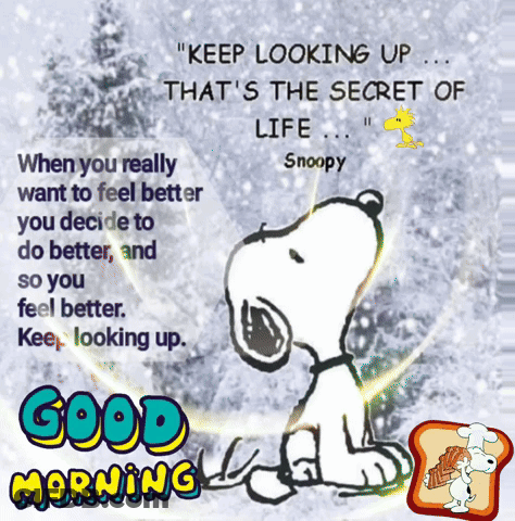 Snoopy Says Keep Looking Up That's The Secret Of Life GIF