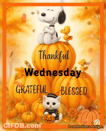 Snoopy Sitting On Pumpkin Thankful Wednesday Grateful Blessed GIF