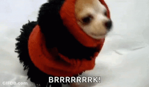 Snoopy Sitting On Snow Pile With Star On Head GIF