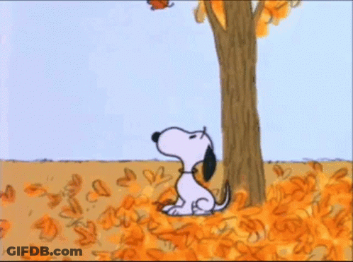 Snoopy Sitting Under Tree In Leaves GIF
