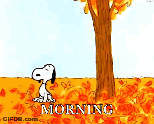Snoopy Sitting Under Tree In Leaves Saying Morning GIF