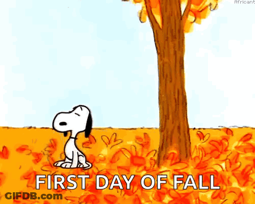 Snoopy Sitting Under Tree Watching Leaf Fall GIF