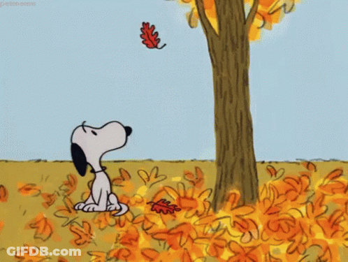 Snoopy Sitting Under Tree With Falling Leaves GIF