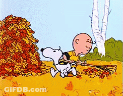 Snoopy Sitting Under Tree With Falling Leaves GIF