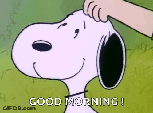 Snoopy Smiling Being Patted On Head GIF