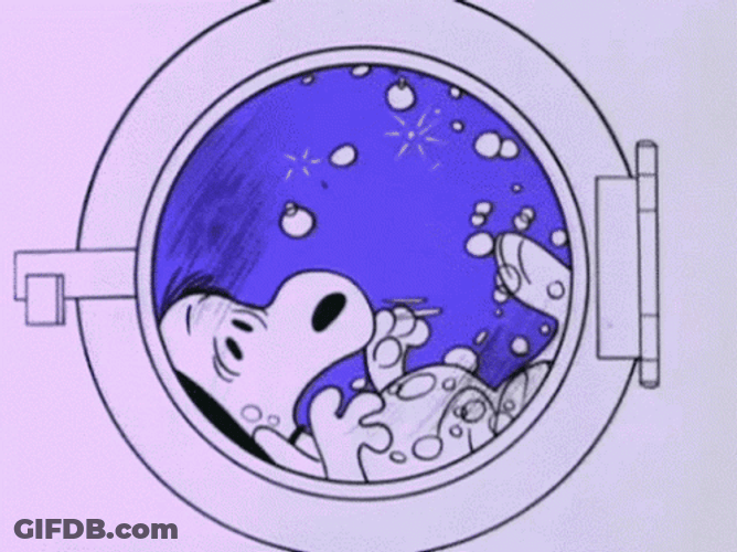 Snoopy Spinning Inside Laundry Machine GIF