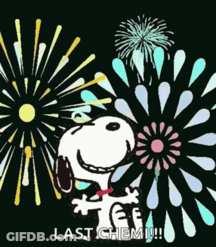 Snoopy Standing At Fireworks Saying Last Chemi GIF