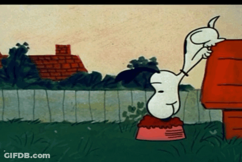 Snoopy Standing In Front Of House GIF