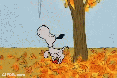 Snoopy Standing In Pile Of Leaves Beside Tree GIF