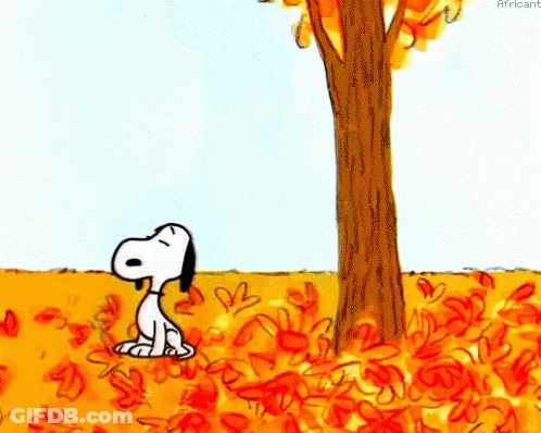 Snoopy Standing In Pile Of Leaves Under Tree GIF