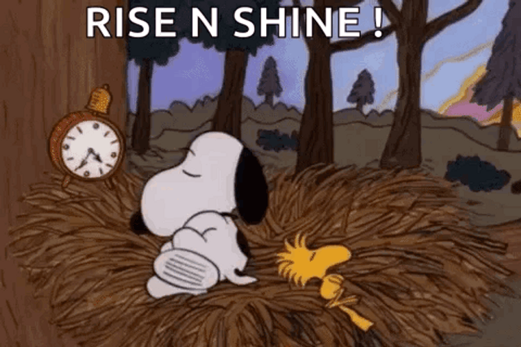 Snoopy Sunday Rise And Shine GIF