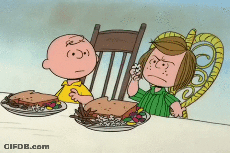 Snoopy Thanksgiving Fighting Over GIF
