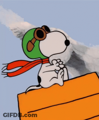 Snoopy Wearing Green Hat And Scarf GIF