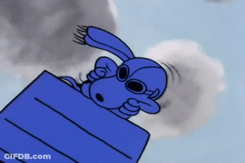 Snoopy With Goggles And Blue Box GIF