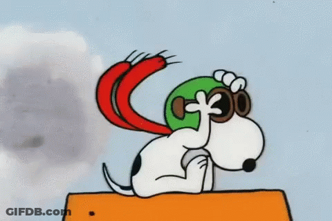 Snoopy With Hat And Goggles GIF