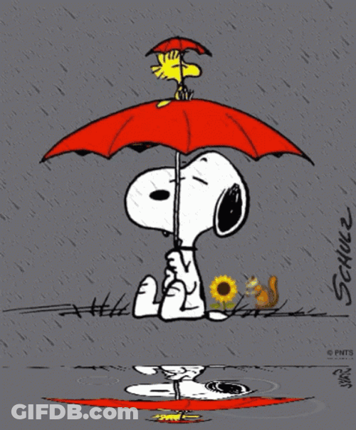 Snoopy With Umbrella While Raining GIF