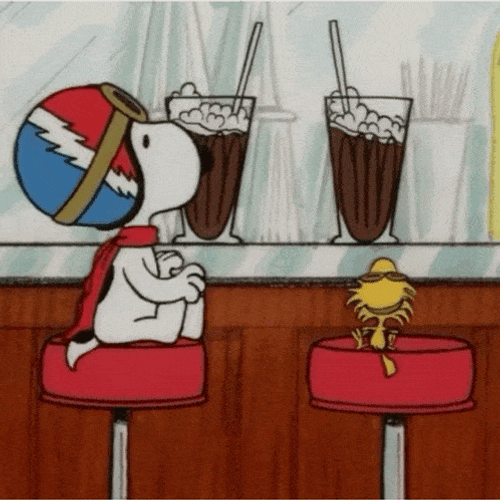 Snoopy Woodstock GIF