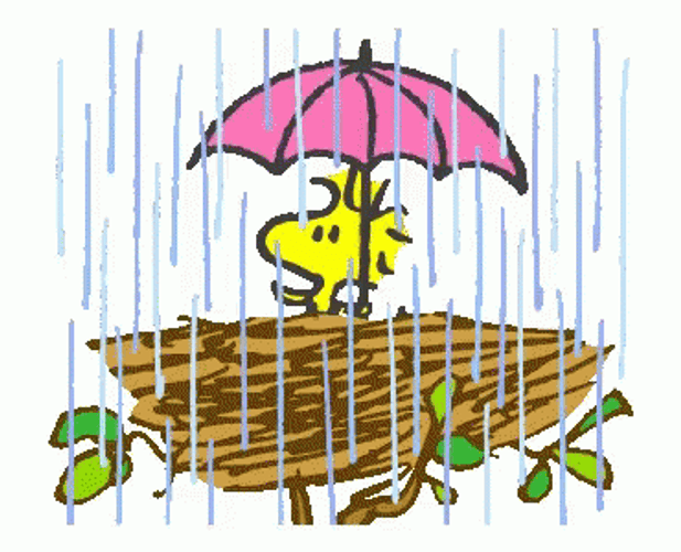 Snoopy Woodstock In Rain GIF