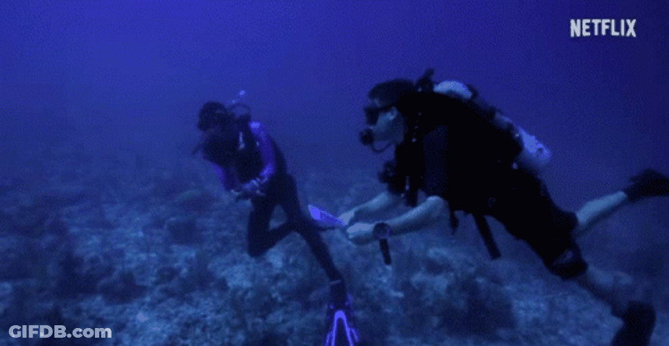 Snorkel Scuba Diving GIF
