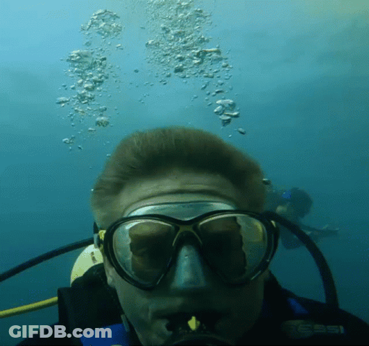 Snorkel Scuba Diving GIF