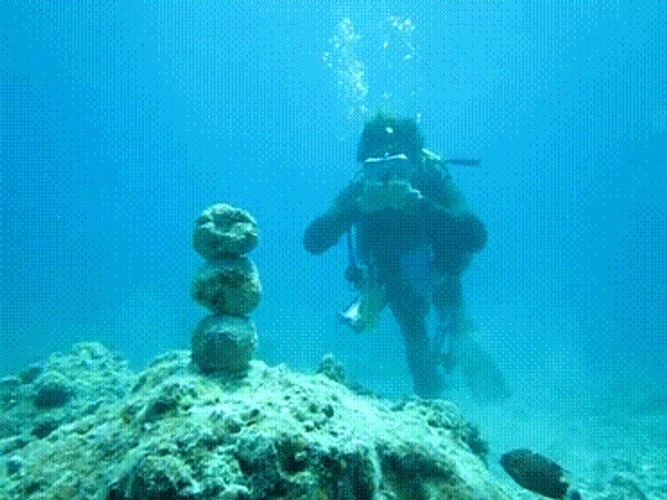 Snorkeling Bubble Ring GIF