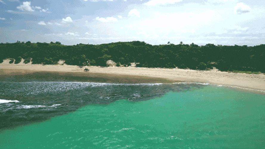 Snorkeling Catherine Bell Fiji GIF