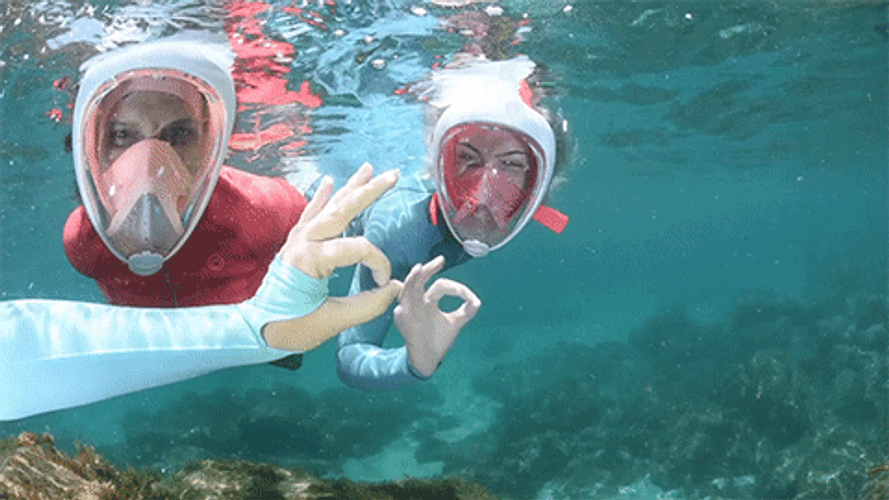 Snorkeling Couple Okay GIF