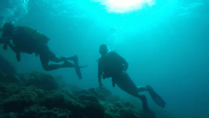 Snorkeling Scuba Dive Friends GIF