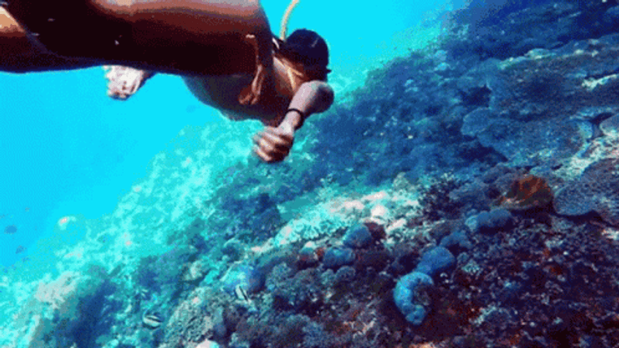 Snorkeling Swimming GIrl GIF