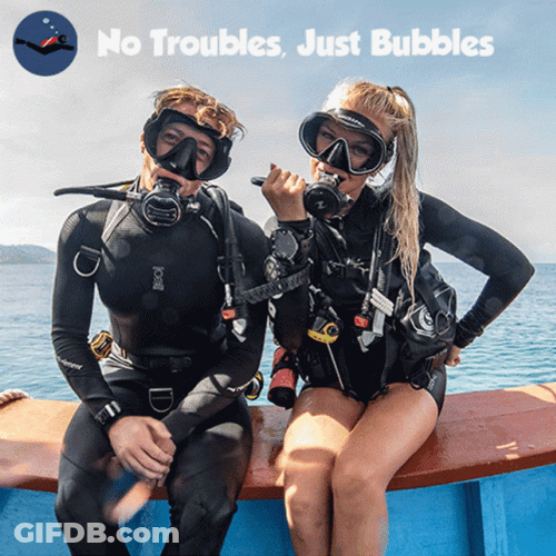 Snorkling Gear Scuba Diving GIF