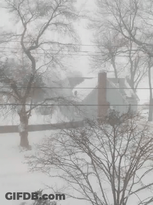 Snow Blizzard Whiteout Country Homes GIF