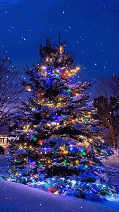 Snow Blue Christmas Lights GIF