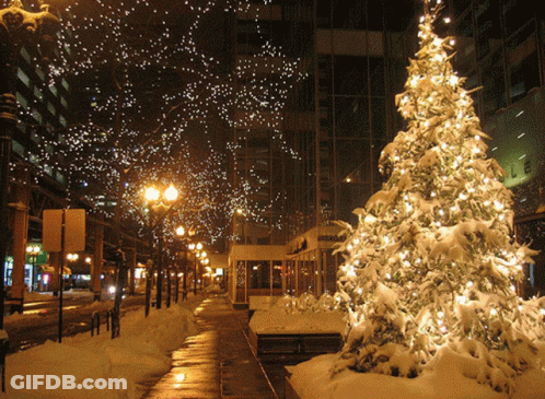 Snow Covered Christmas Tree In Front Of Building GIF