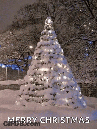 Snow Covered Christmas Tree Merry Christmas GIF
