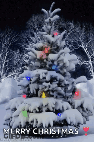 Snow Covered Christmas Tree With Lights Saying Merry Christmas Eclipse Moon GIF