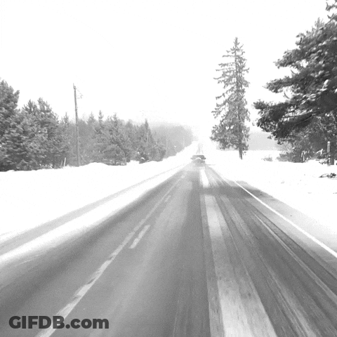 Snow Covered Road In Black And White GIF
