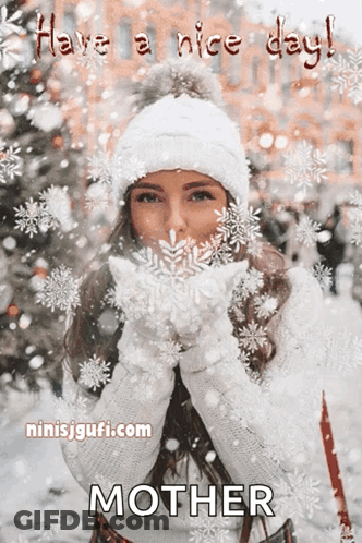 Snow Covered Trees 26 Degrees This Morning GIF