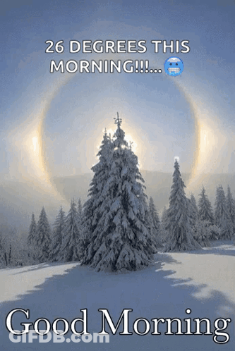 Snow Covered Trees 26 Degrees This Morning GIF