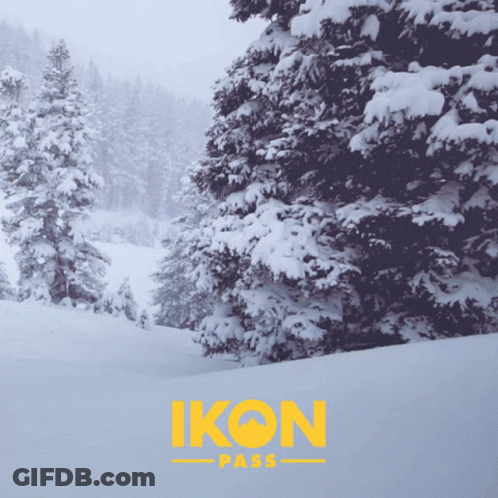 Snow Covered Trees With Ikon Pass In Yellow GIF
