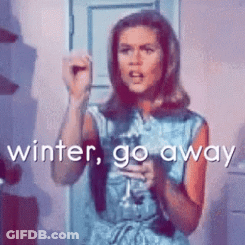 Snow Day GIF