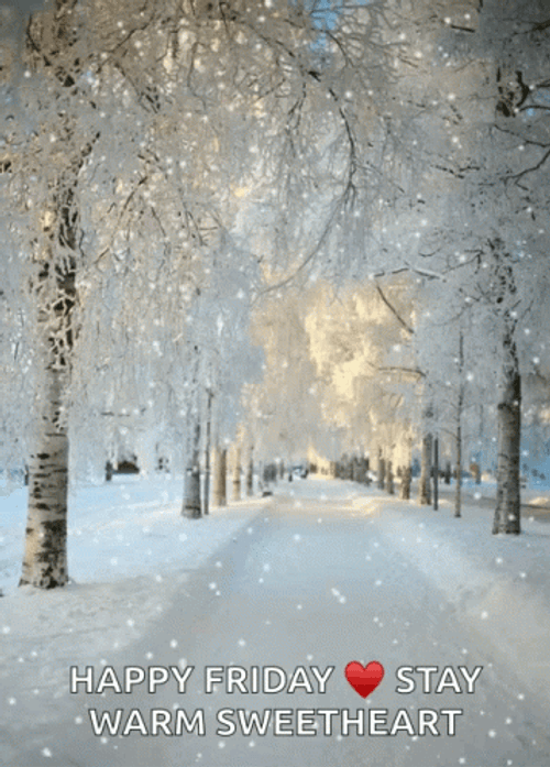 Snow Fall Ice Snowy Saturday GIF