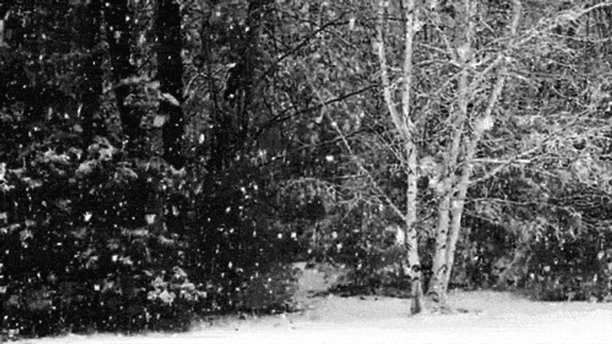 Snow Falling Aesthetic Black And White GIF