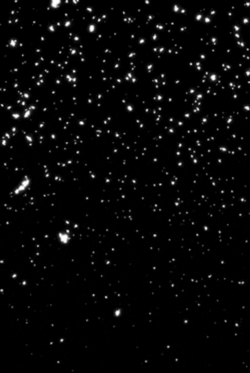 Snow Falling Black Background GIF