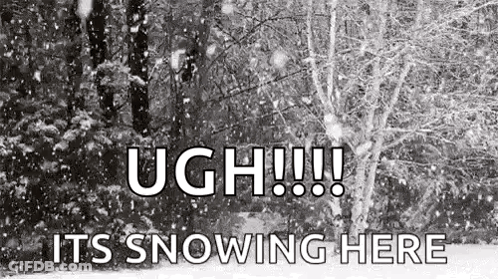 Snow Falling In Forest Ugh It's Snowing GIF