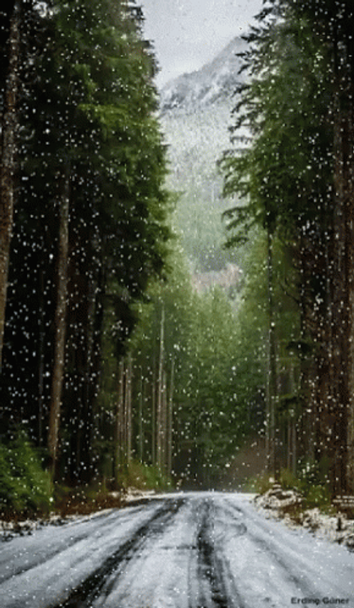 Snow Falling On Beautiful Road GIF